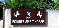 ECURIES SPIRIT HORSE